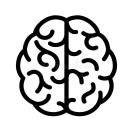 Diagram of a brain, representing the central nervous system