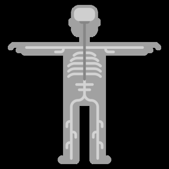 Diagram of the human nervous system, showing central and peripheral components
