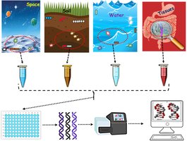 Metagenomics workflow: sampling from space, soil, water, and tissues, followed by DNA extraction, sequencing, and computational analysis