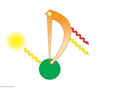 Photon absorption and electron excitation in chlorophyll
