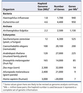 Table comparing genome size, gene number, and gene density in various organisms