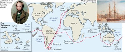 The voyage of HMS Beagle and the Galápagos Islands