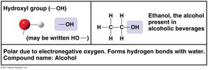 Hydroxyl group structure and properties