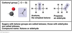 Carbonyl group structure and properties