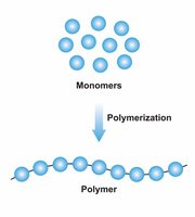 Monomers and polymerization