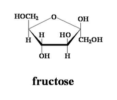 Fructose structure