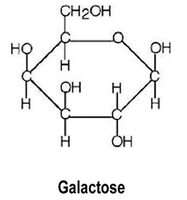 Galactose structure