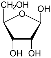 Ribose structure