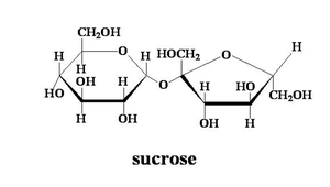 Sucrose structure