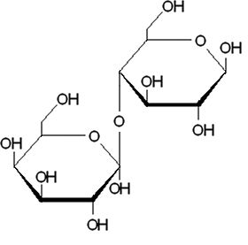 Lactose structure