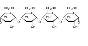 Starch structure