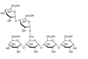 Glycogen structure