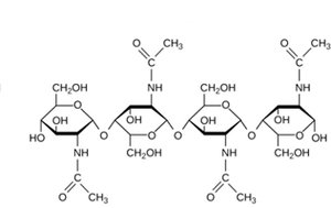 Chitin structure