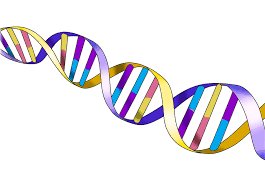 DNA structure with deoxyribose