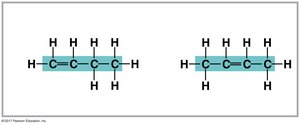 Linear and branched carbon skeletons