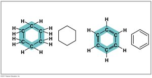 Ring structures of carbon skeletons
