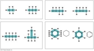 Various carbon skeletons