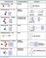 Table of functional groups, names, and examples