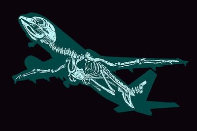 Bird skeleton superimposed on airplane silhouette, illustrating convergent evolution of flight adaptations