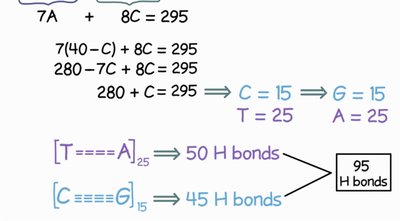 Calculation of hydrogen bonds in DNA fragment