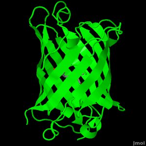 GFP structure