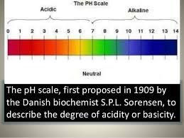 The pH scale and Sorensen's contribution