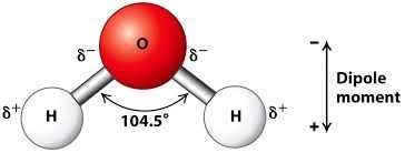 Water molecule showing dipole moment and bond angle