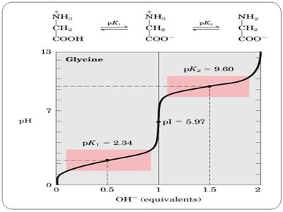 Table of pK values for amino acids