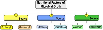 Diagram summarizing the three nutritional factors: energy, electron, and carbon source