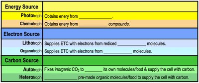 Table summarizing energy, electron, and carbon sources for different nutritional types
