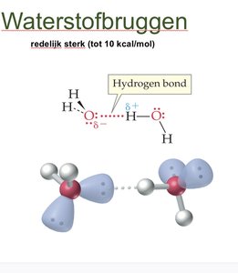 Hydrogen bonding between water molecules
