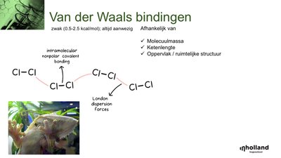 Van der Waals forces between Cl2 molecules
