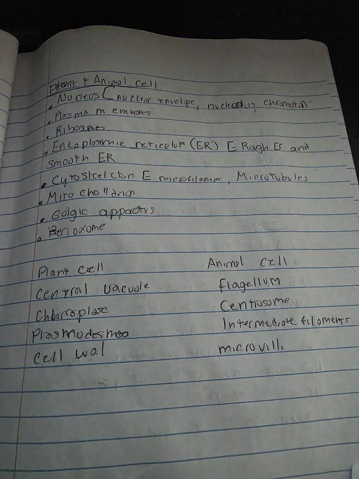 Handwritten notes comparing plant and animal cell structures