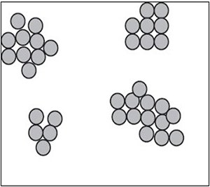 Clumped dispersion pattern