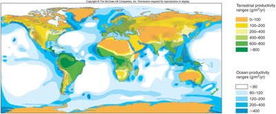 Global productivity map