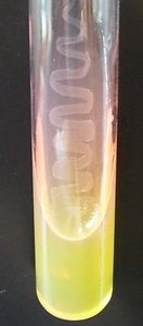 Bacterial growth on agar slant with zig-zag pattern