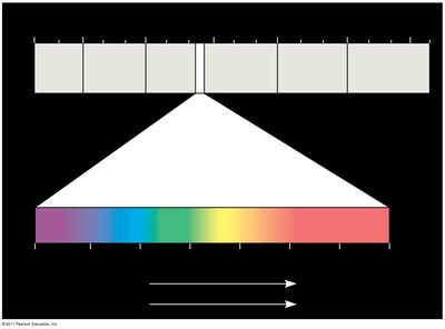 Diagram of the electromagnetic spectrum, highlighting the visible light region