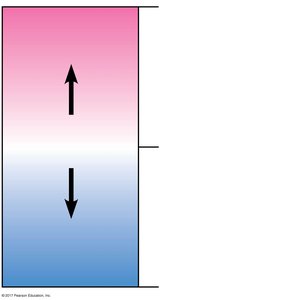 pH scale showing acidic, neutral, and basic solutions