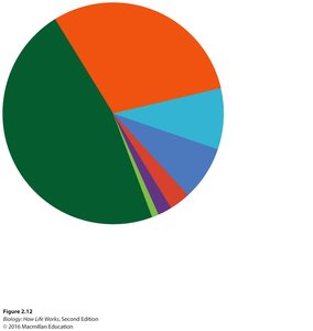 Pie chart showing elemental composition of cells