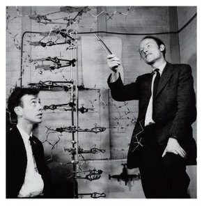 Watson and Crick with DNA model