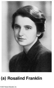 Rosalind Franklin
