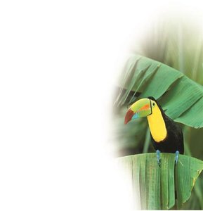 Five Unifying Themes in Biology