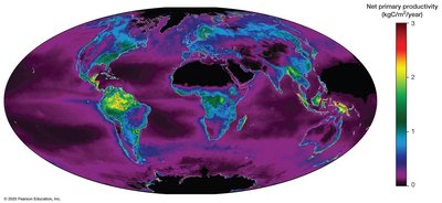 Global map of net primary productivity