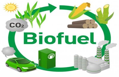 Biofuel production cycle diagram