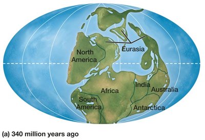 Continental drift: 340 million years ago