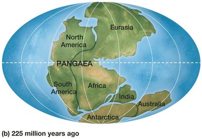 Continental drift: 225 million years ago (Pangaea)
