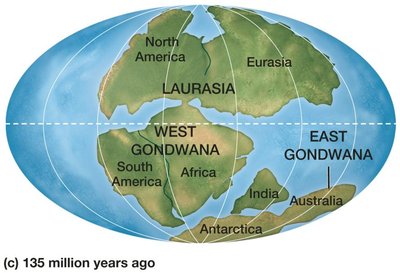 Continental drift: 135 million years ago (Laurasia and Gondwana)