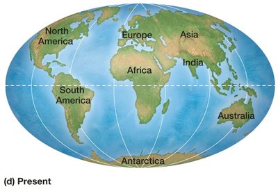 Continental drift: Present day