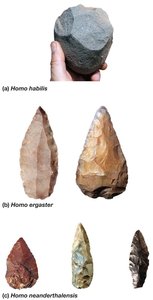 Representative hominin tools
