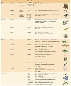 Table summarizing the history of life on Earth